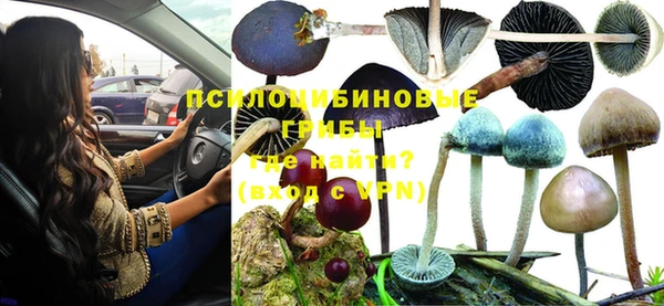 прущая мука Абдулино