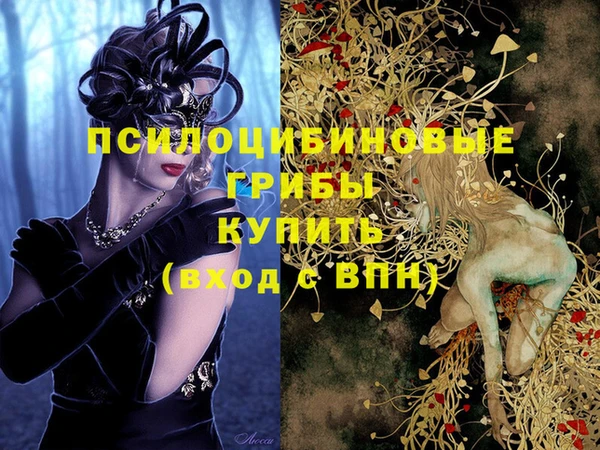 гашик Абинск