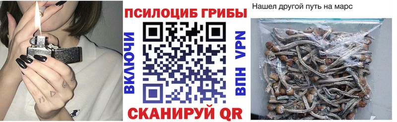 Галлюциногенные грибы Psilocybine cubensis  Благовещенск 